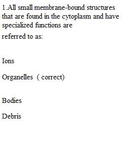 Module 3 Quiz